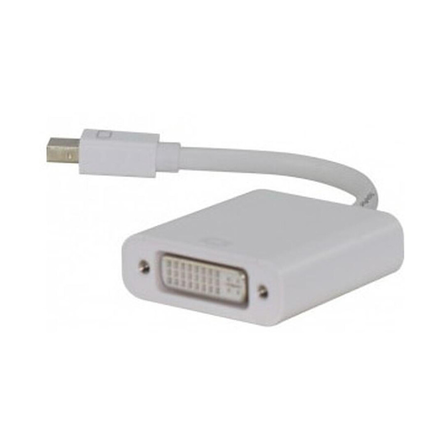 Adaptateur Mini-DisplayPort vers DVI-D - 9 cm