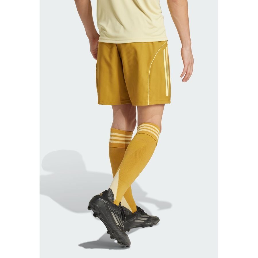 Adidas Tiro 25 Competition Match Shorts