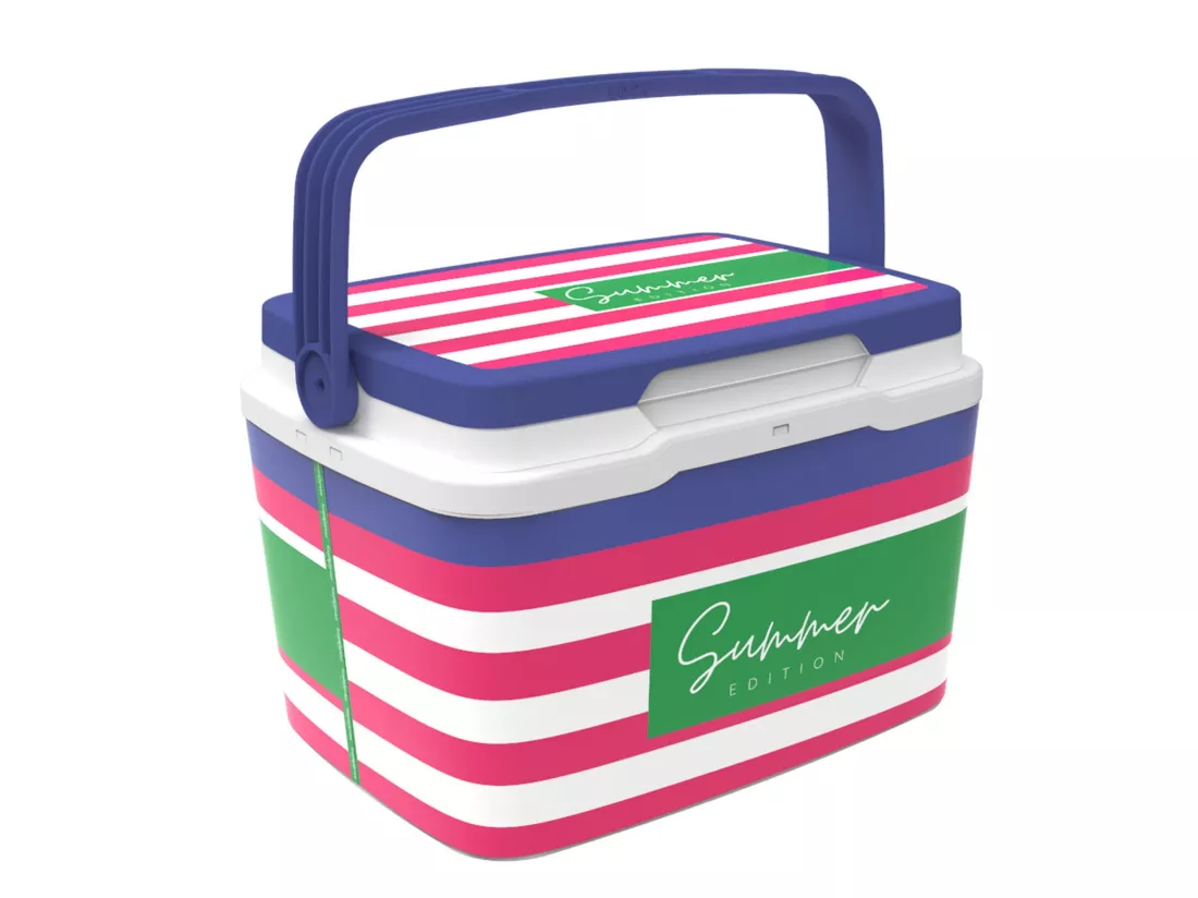 Réfrigérateur life story cooler 5l pink navy