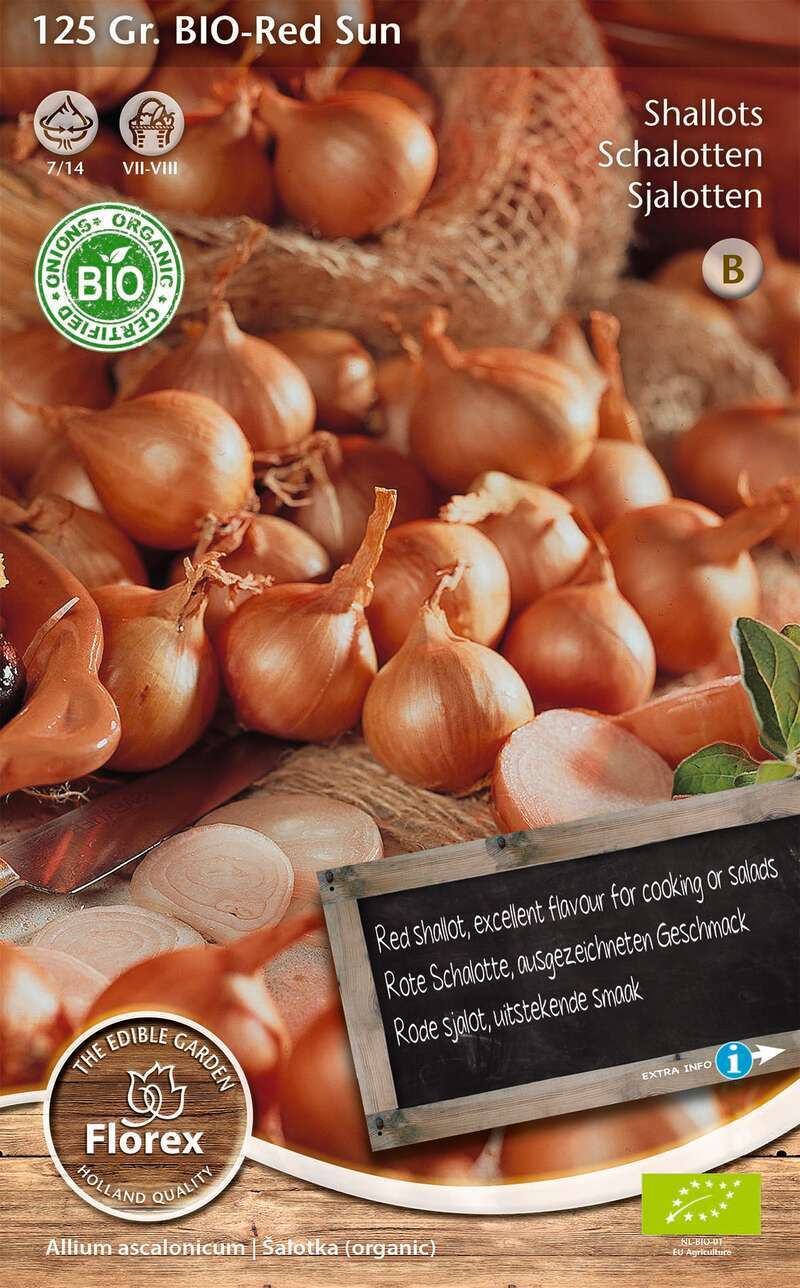 Florex biologische sjalotten ('Red Sun'), 125 gram