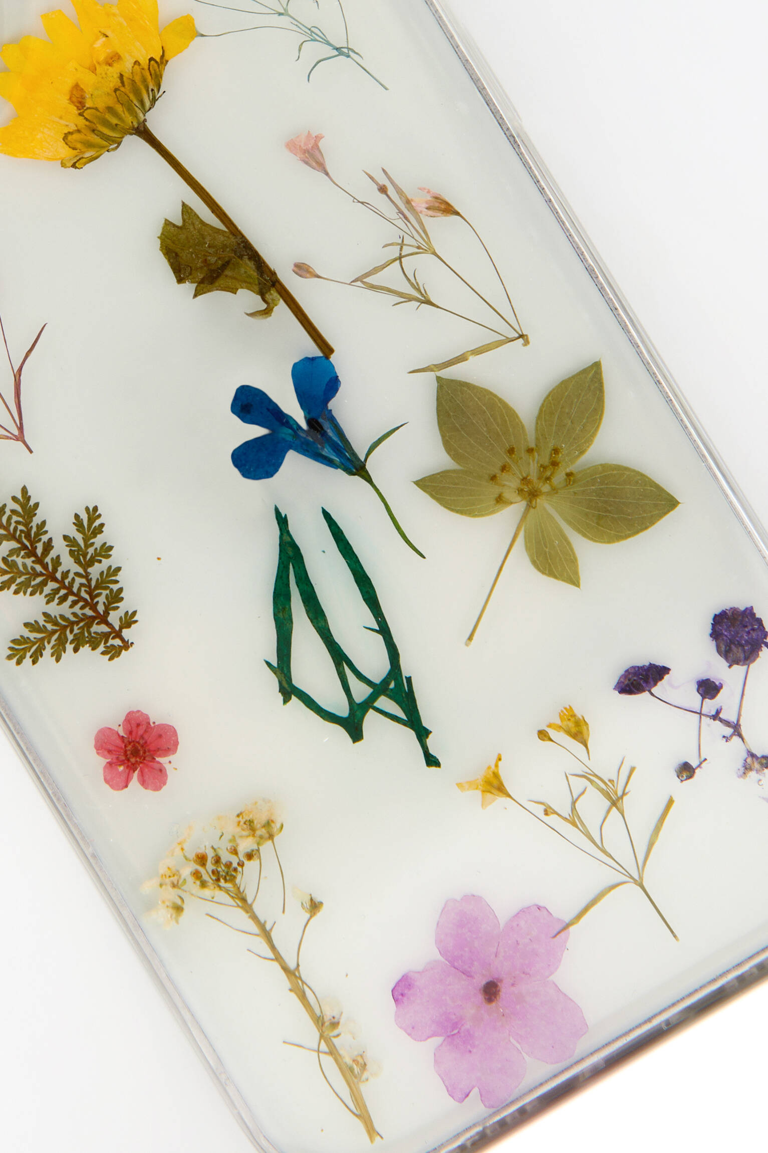 Capa transparente para iPhone com flores secas - Amarela