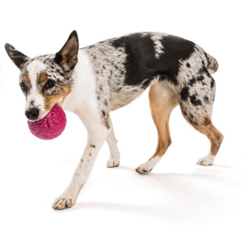 Bola rosa para cachorro