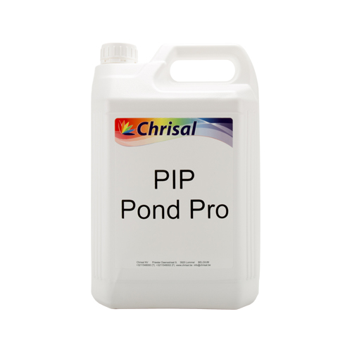 PIP Pond