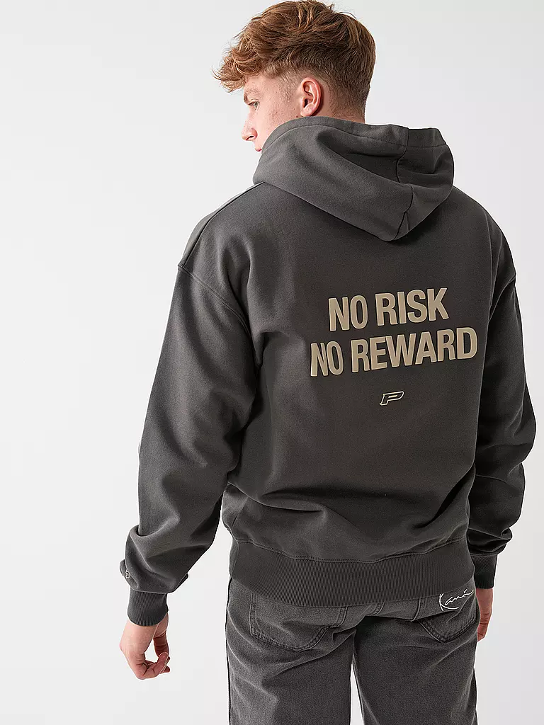 PEGADOR Kapuzensweater - Hoodie FOX  grau