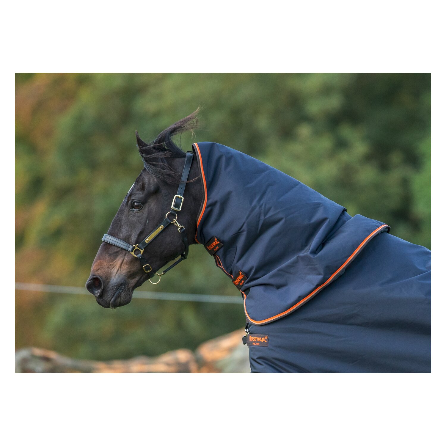 HORSEWARE Halsteil RAMBO Original Lite - navy