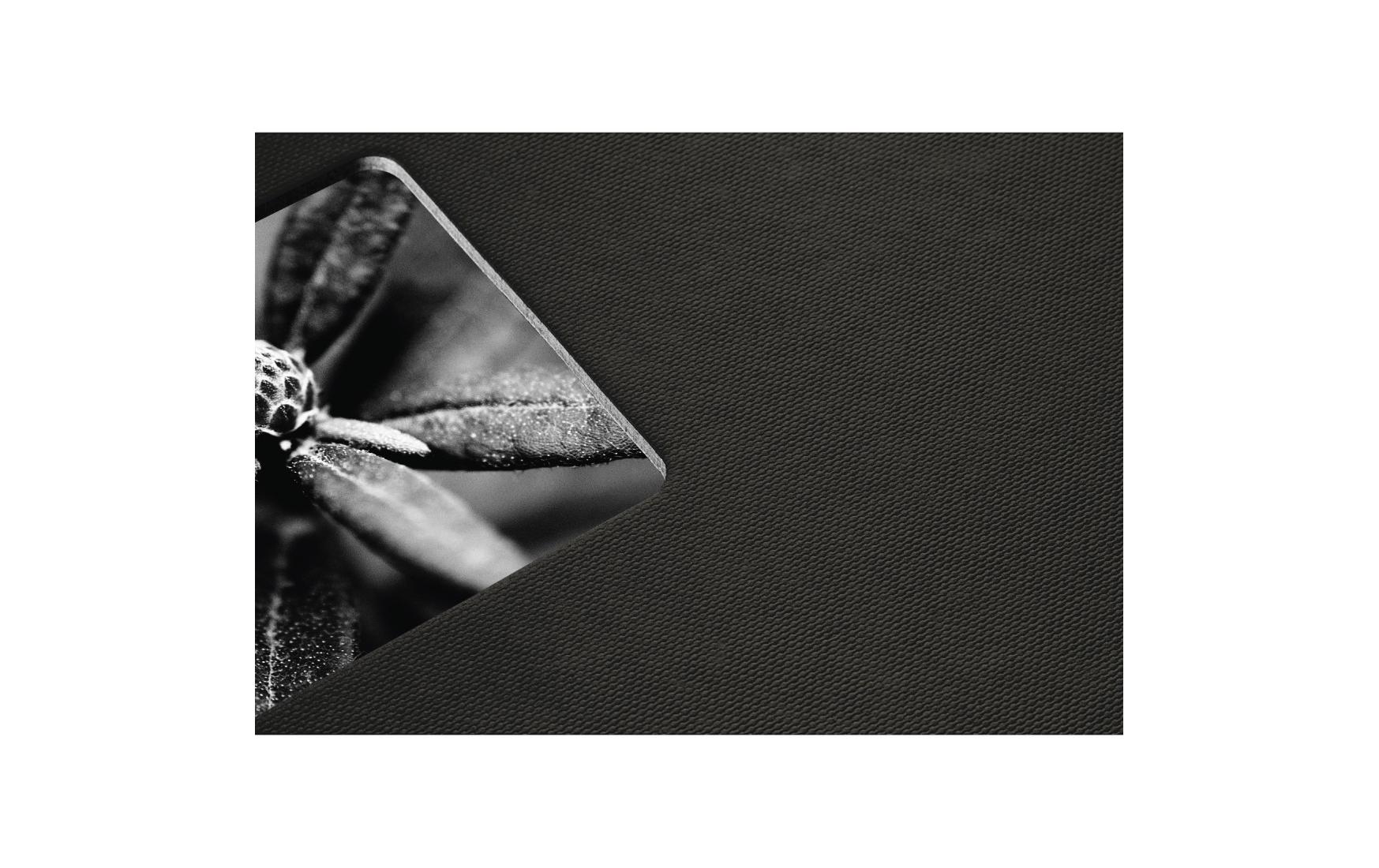 Fotoalbum Fine Art 24 x 17 cm Schwarz, 50 schwarze SeitenPlatzsparendes Album