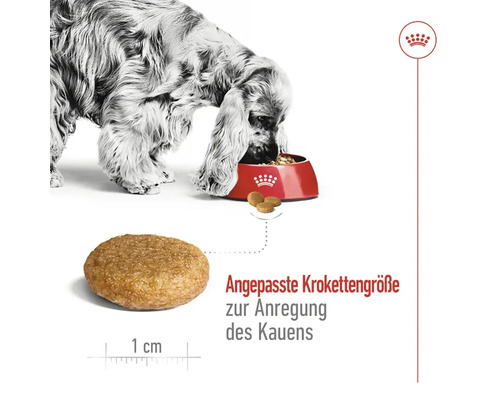 ROYAL CANIN Medium Adult droog hondenvoer 15 kg