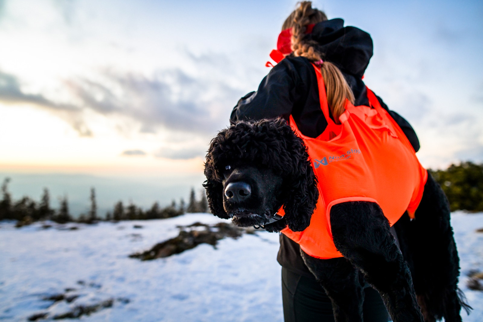 Non-Stop Dogwear Dog rescue sling<br>Lett, rask og pålitelig – når hunden trenger deg mest!