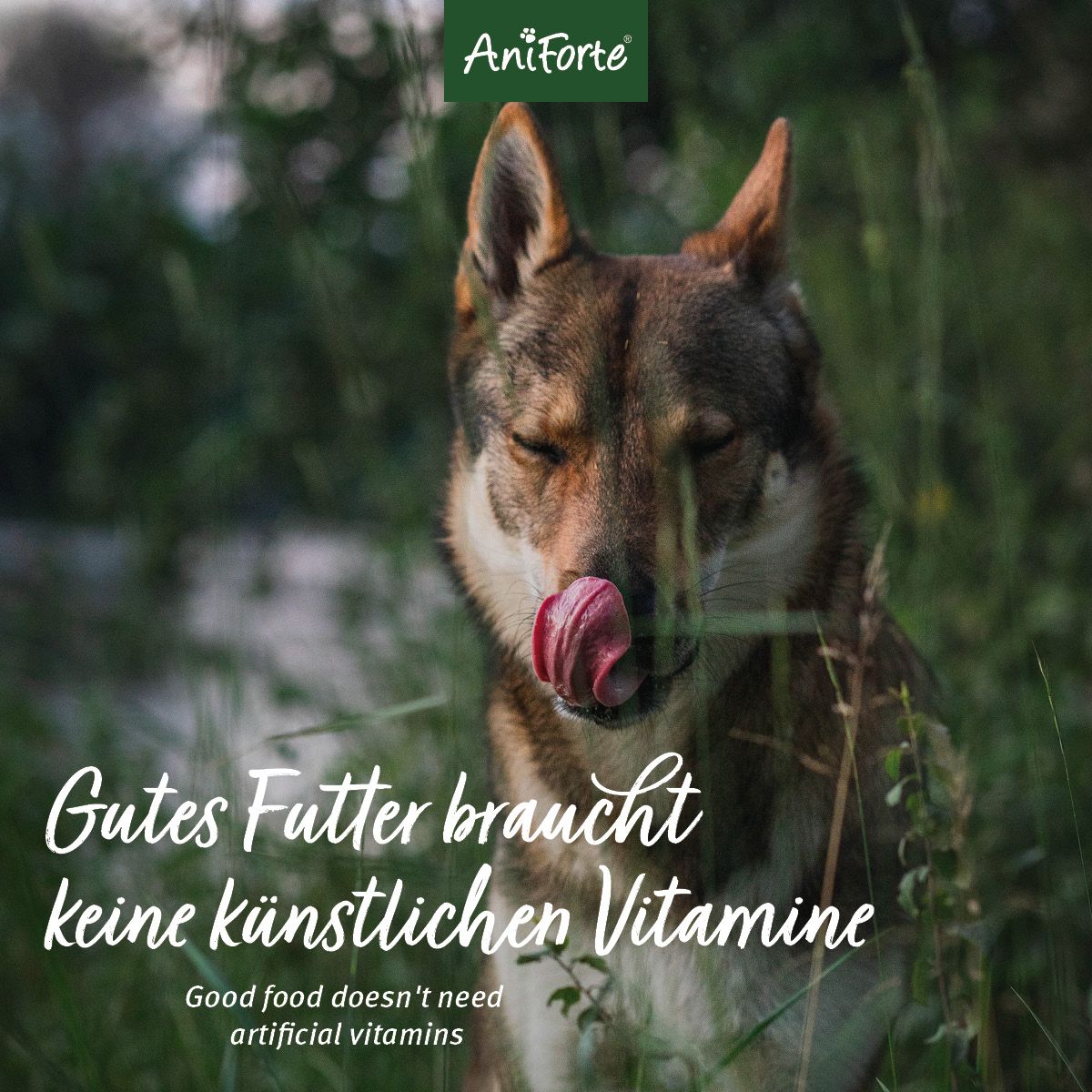 AniForte Trockenfutter Rind