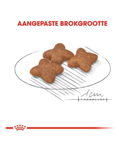 Royal Canin Mini Adult - Hondenvoer
