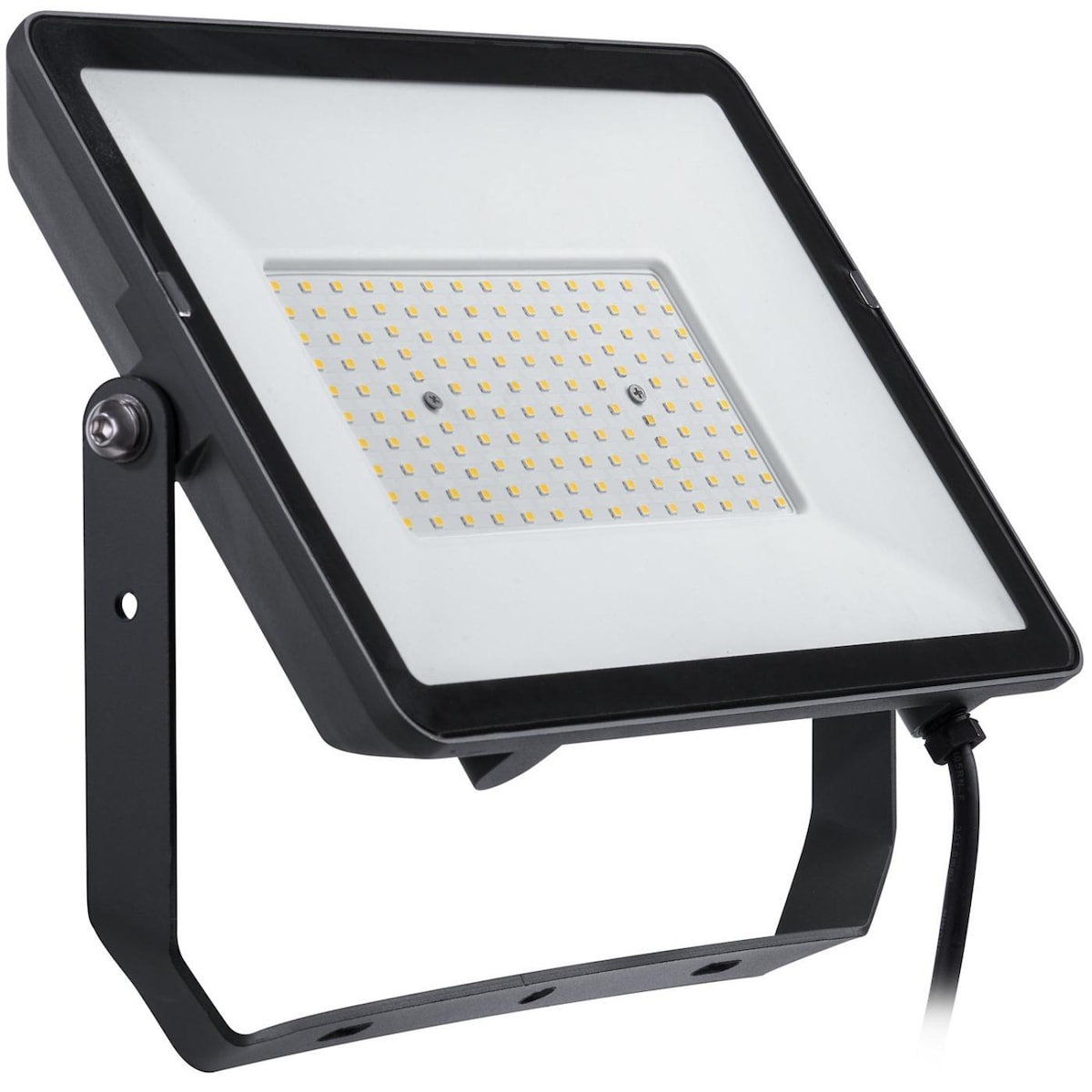 Philips ProjectLine Strålkastare 100W 9500lm