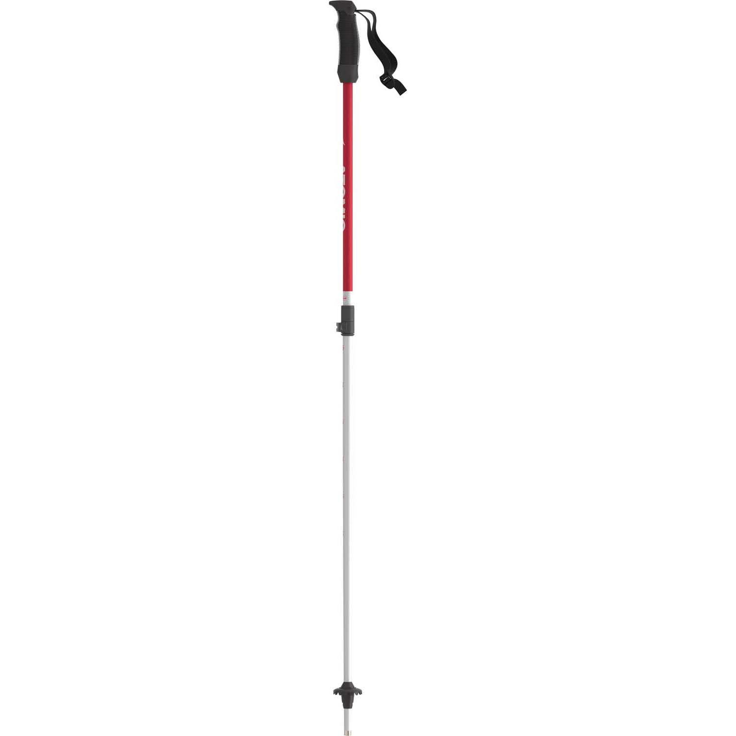 Atomic  Jr. Telescopic Skistok