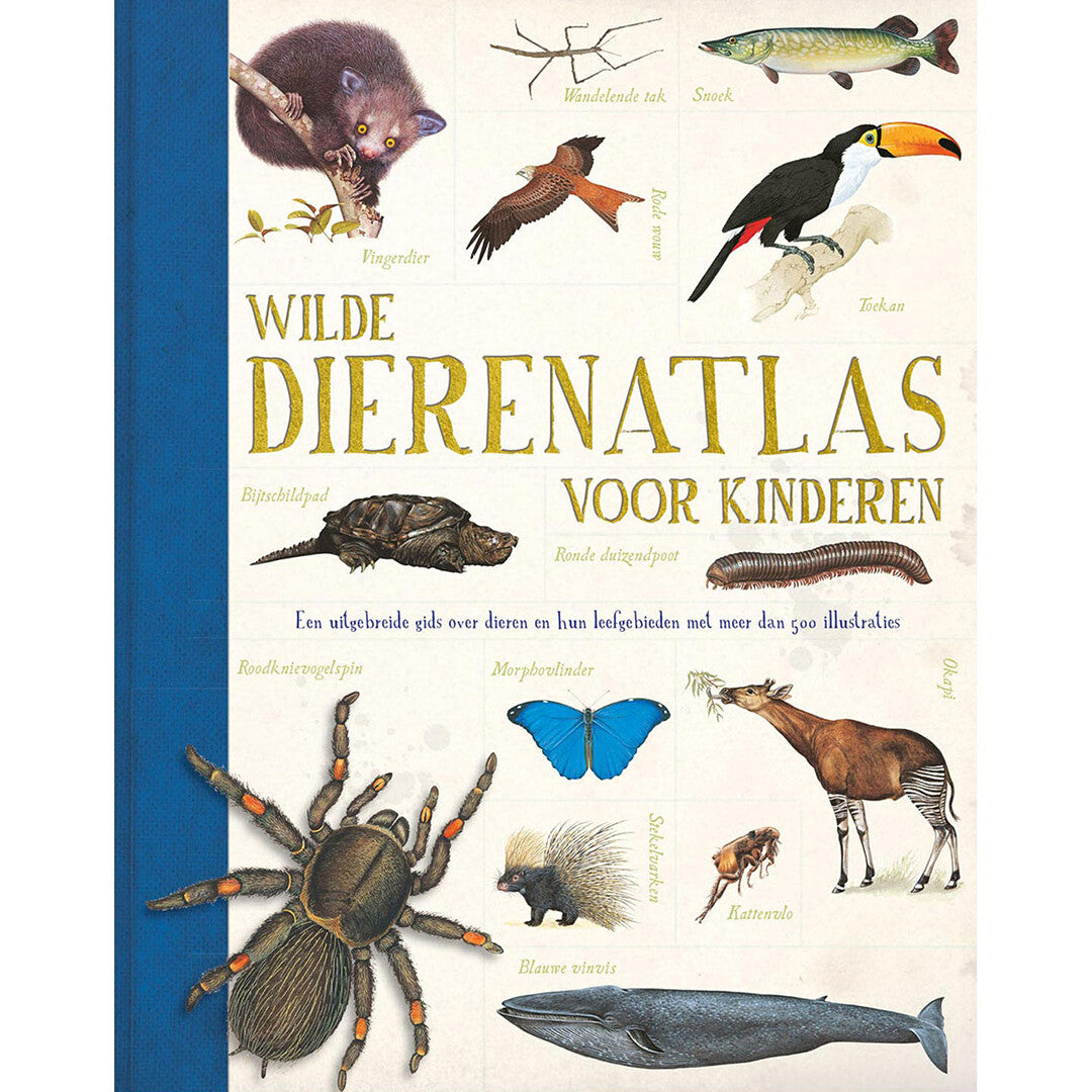 Uitgeverij rebo wilde dierenatlas voor kinderen
