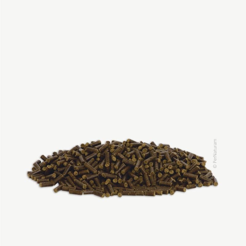 Pernaturam Para-Z