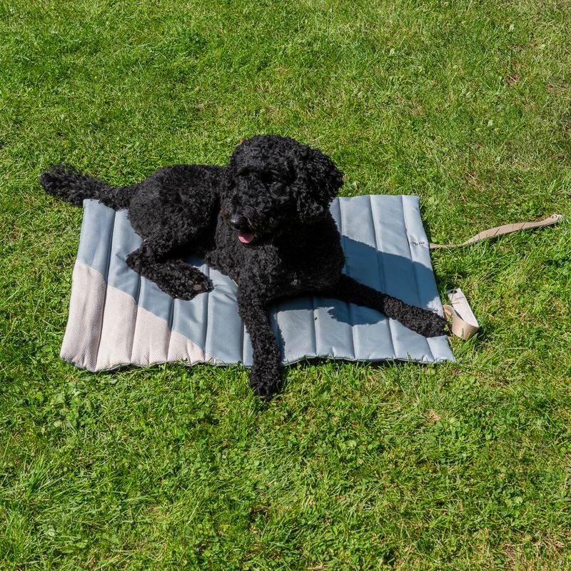 Tapis de voyage Nomad Tales Stone