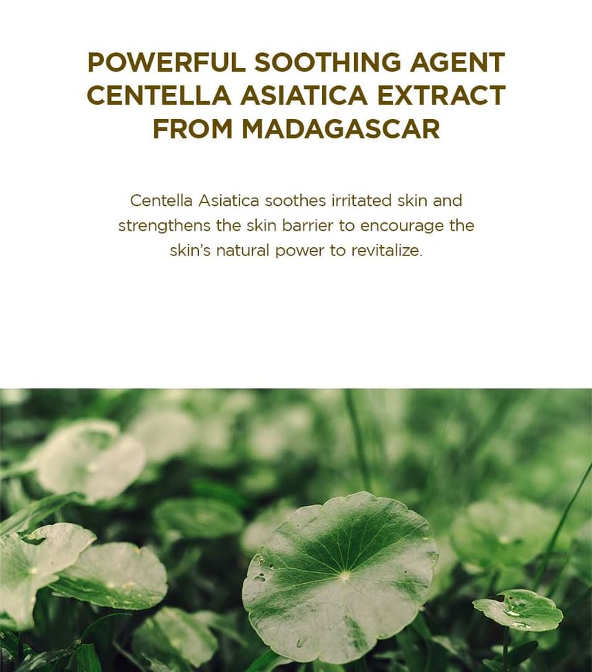HUID 1004 - Madagascar Centella ampulschuim