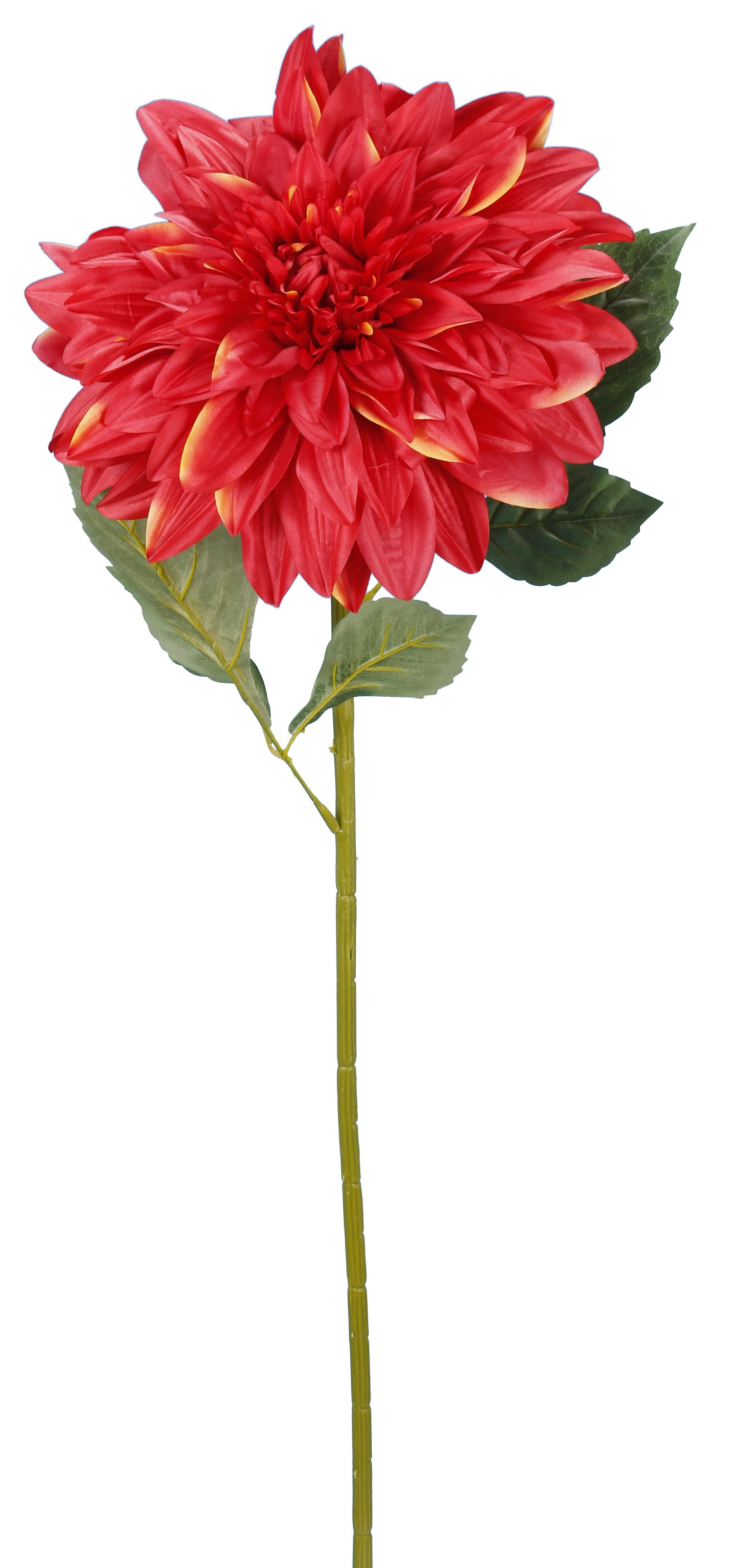 DAHLIA ROUGE H.95CM