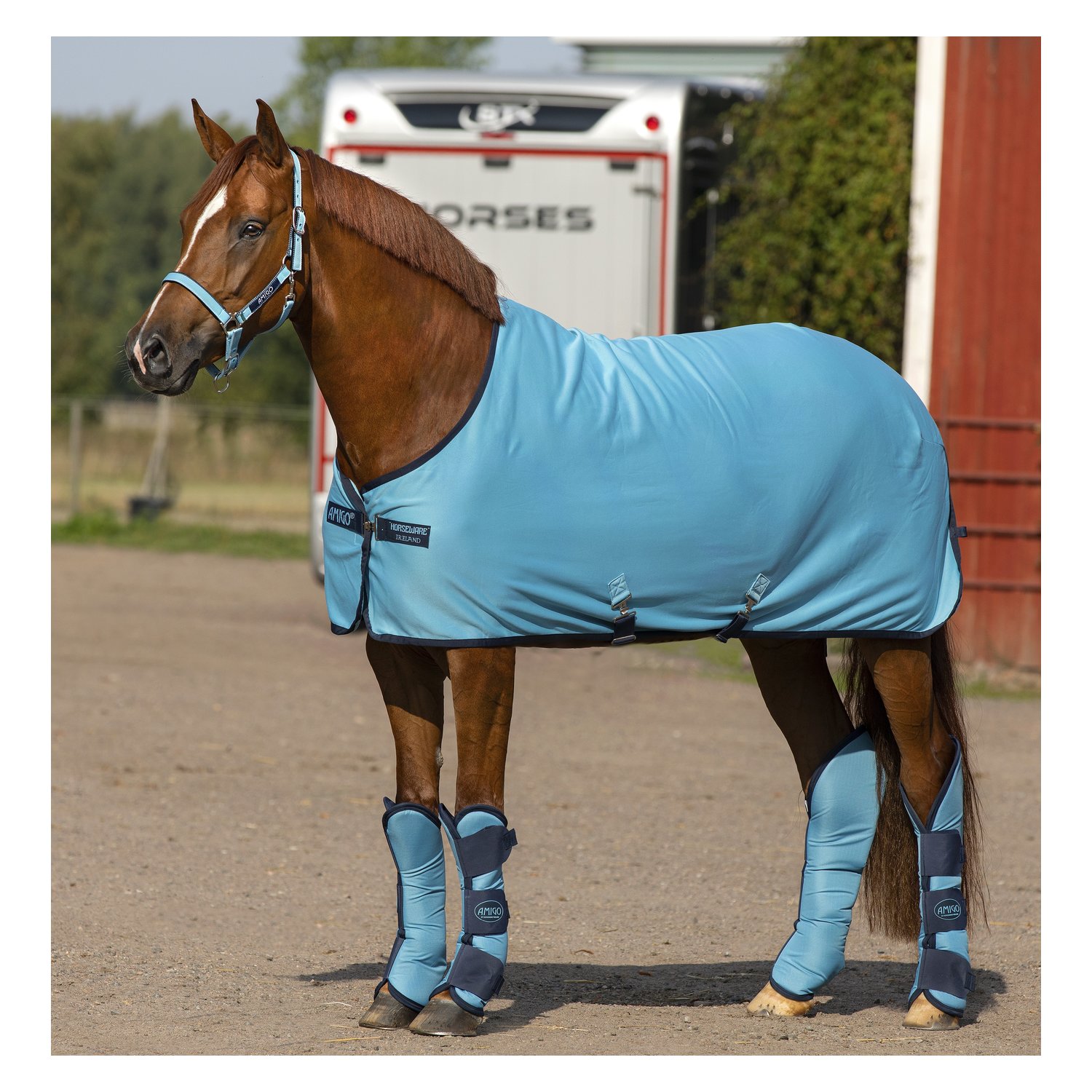 HORSEWARE Abschwitzdecke AMIGO Jersey Cooler  - delphi/navy