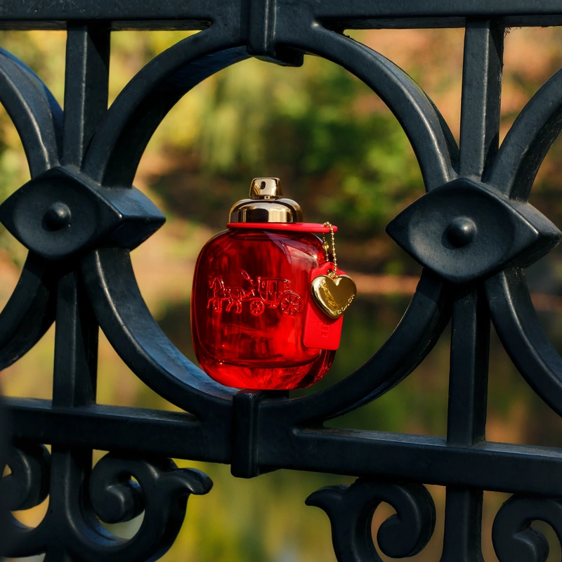 Coach Love EDP 50 ml