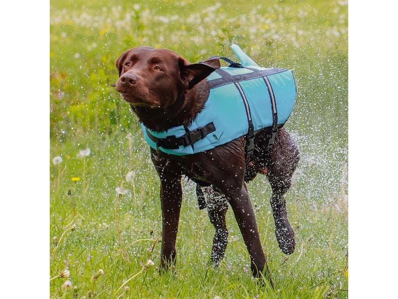 Nobby Schwimmweste Sharki L, 40 cm, Blau Hundeweste