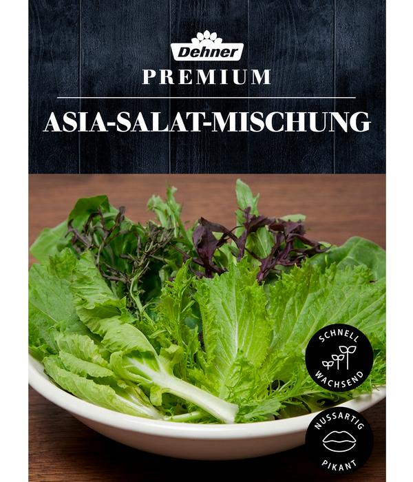 Dehner Premium Samen Asia-Salat-Mischung
