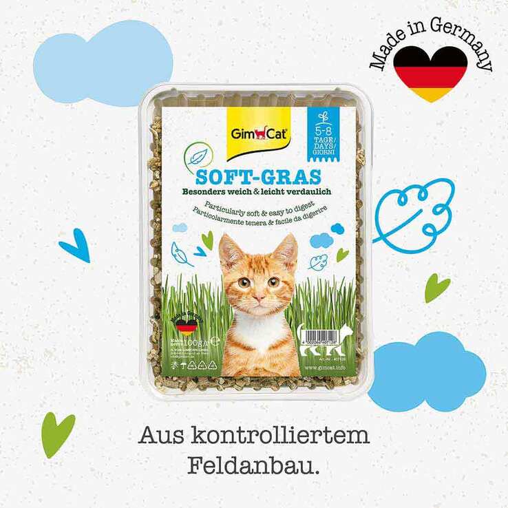Gimpet Soft Gras für Katzen, 100 g