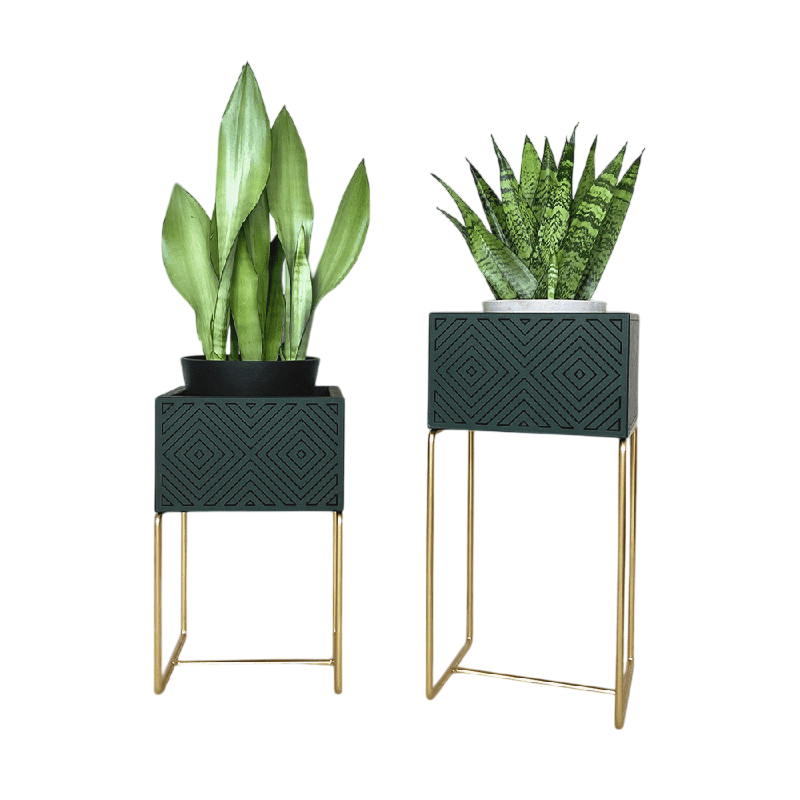Nevi the plantbox Tannengrün, Gold S
