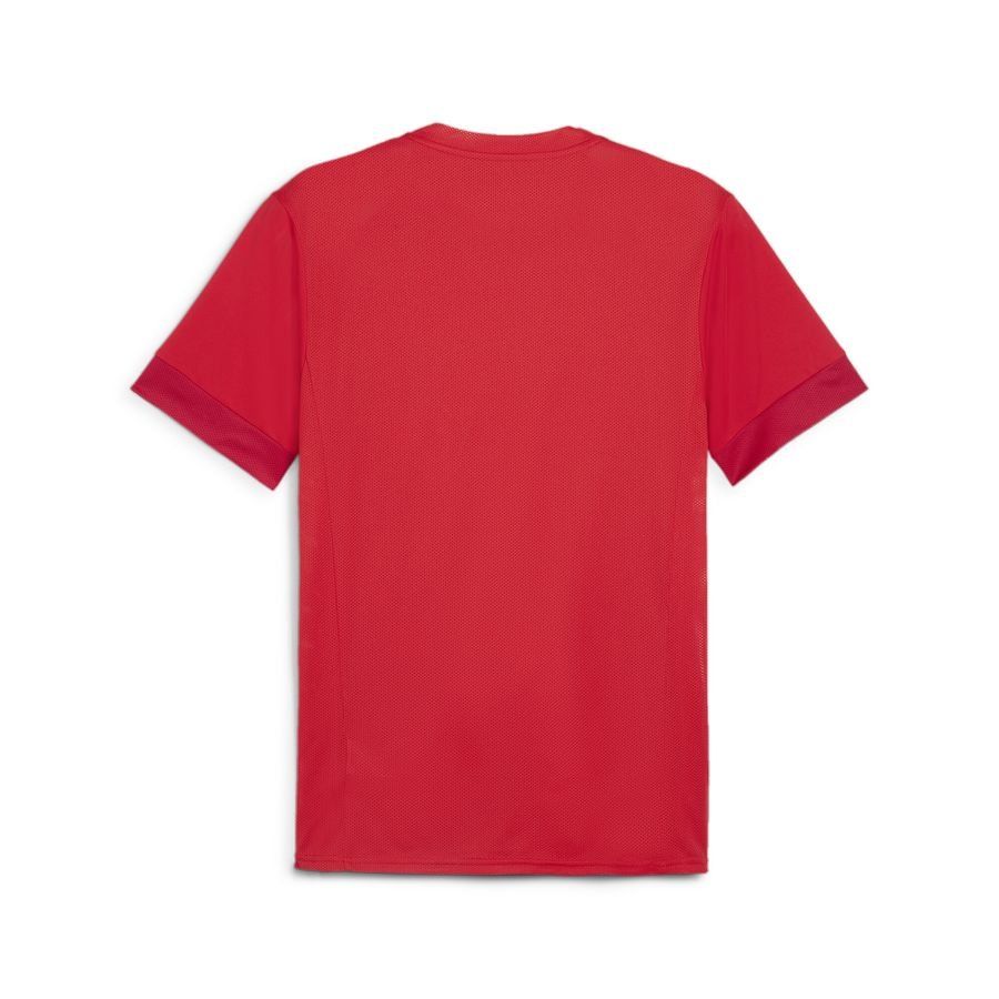 PUMA T-shirt d'Entraînement teamGOAL - Rouge/Blanc