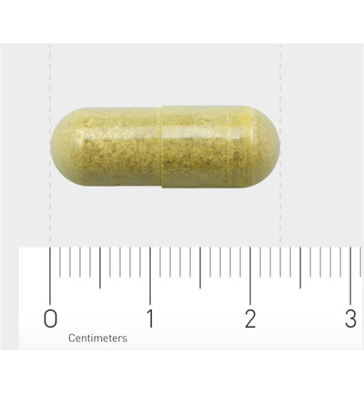 Aov 816 Quercetine Extract (60 vega capsules)
