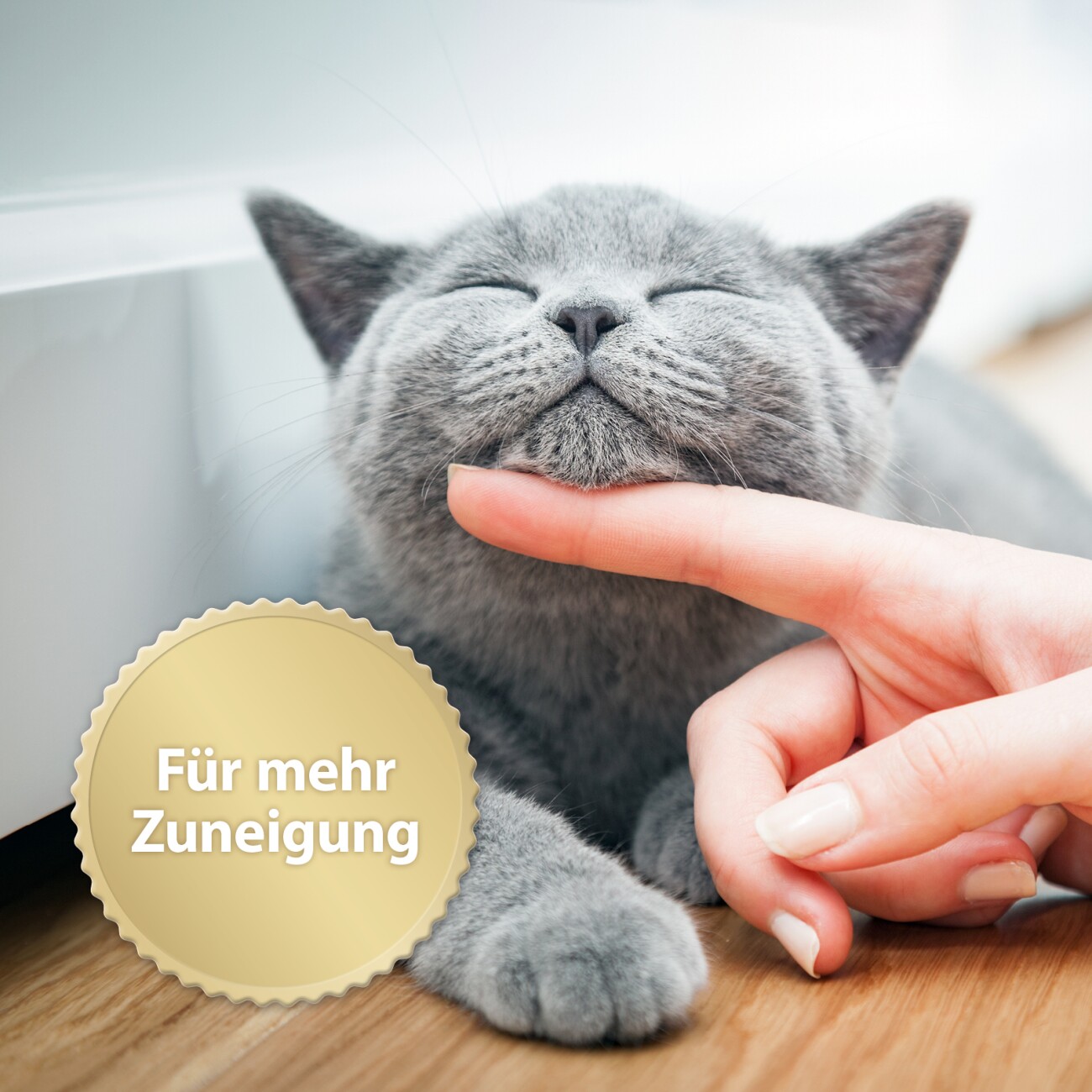 Felisept Home Comfort Nachfüllflakon für Katzen 45 ml