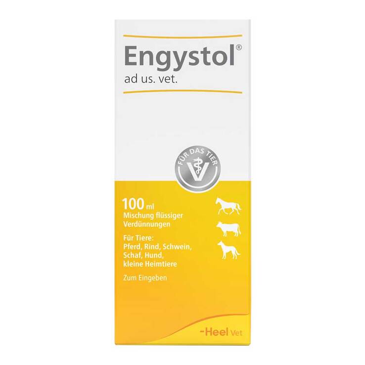 Engystol Tropfen vet. (für Tiere), 100 ml