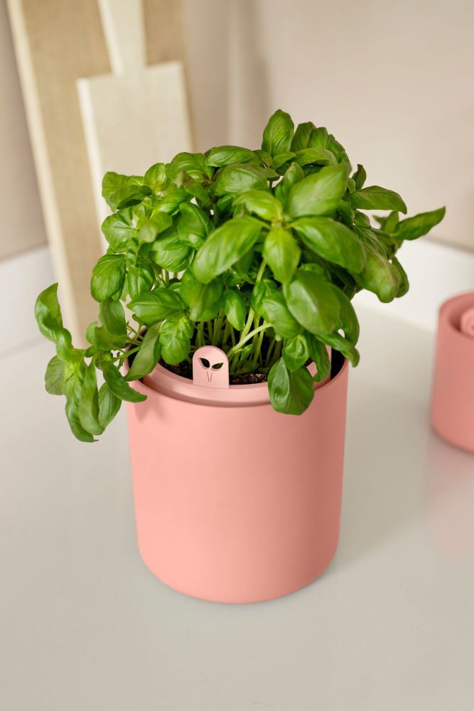 Elho kweekpot Bouncy Basil terracotta D 16,5 H 21 cm