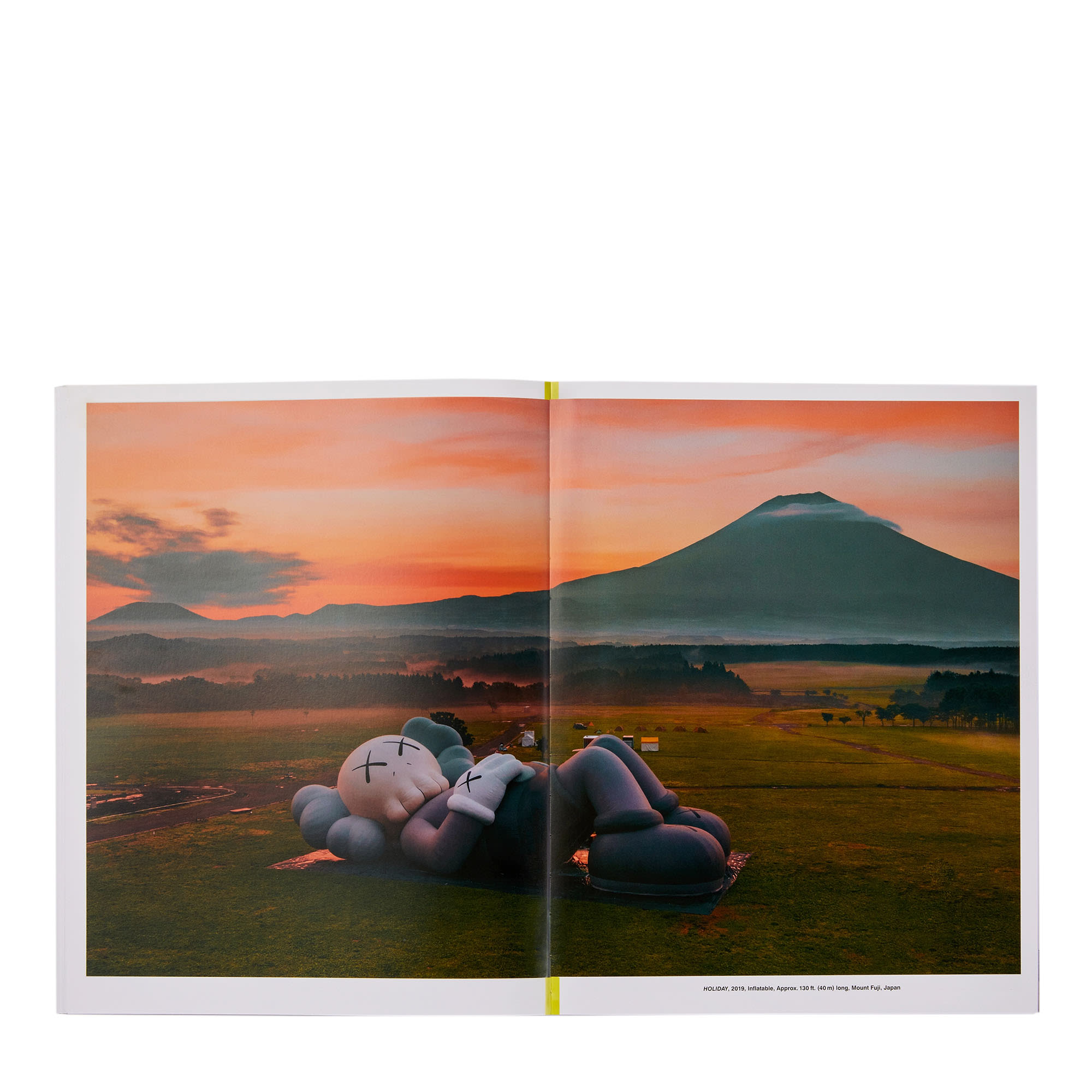 Phaidon<br>Kaws: What Party - Black On Pink Edition