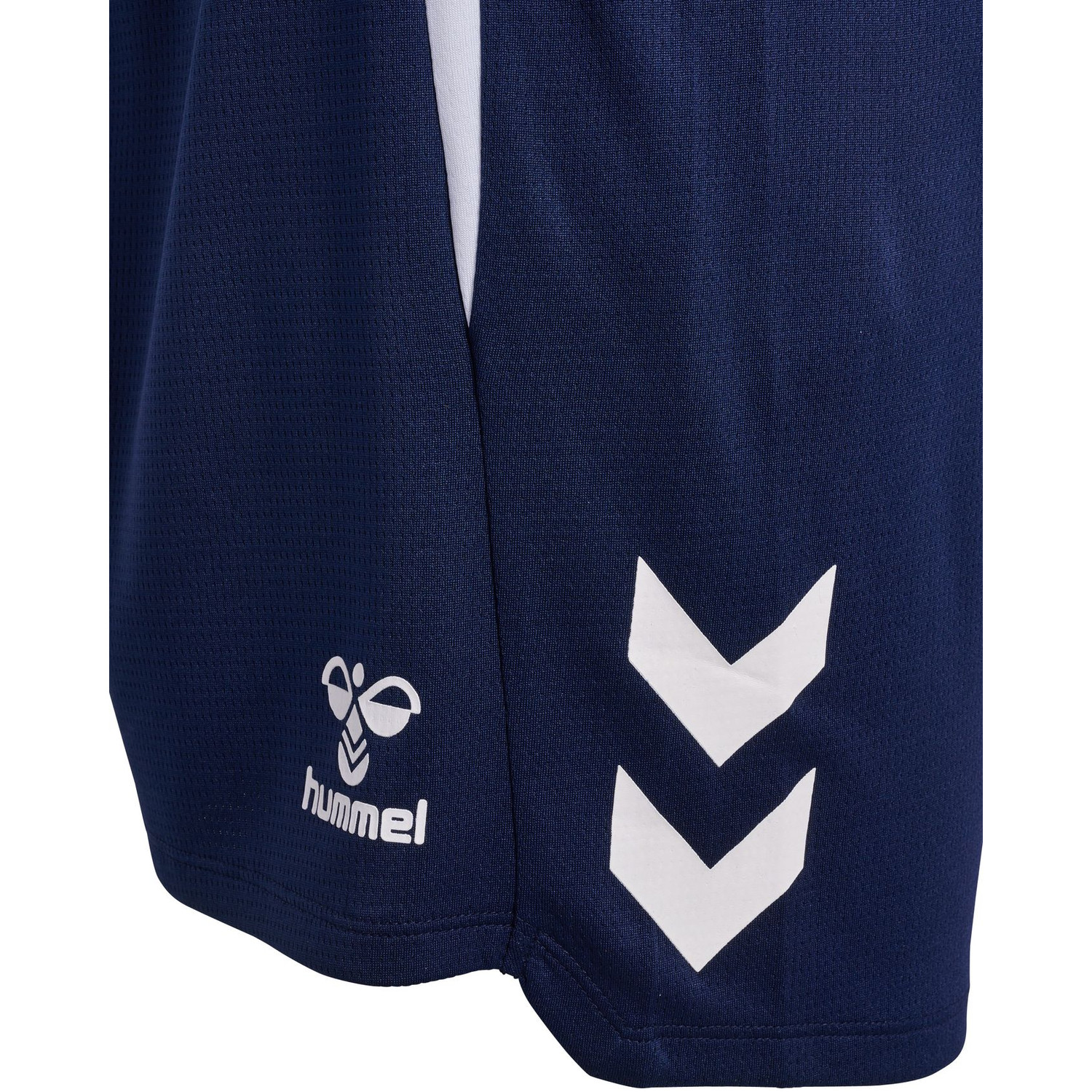 Hummel Lead 2.0 Shorts Heren