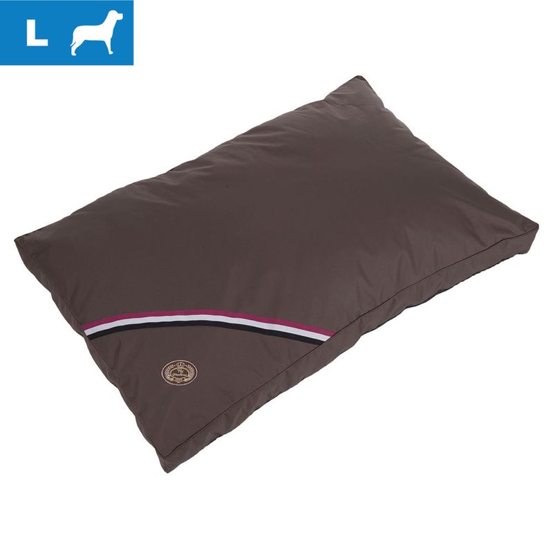 Coussin Champion