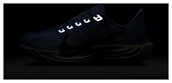 Chaussures Running Nike Pegasus Plus Bleu Femme