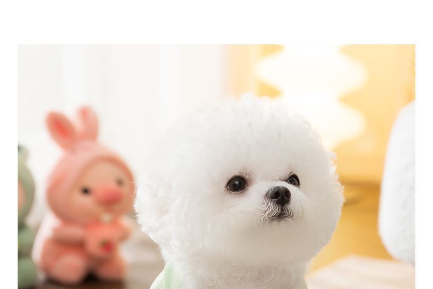 Cissilli - Print Pet Top met Kraag (Diverse Ontwerpen)