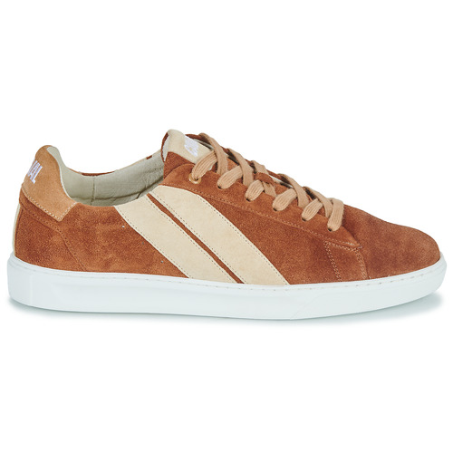 Caval - SLASH BROWN COFFEE - Marron / Beige
