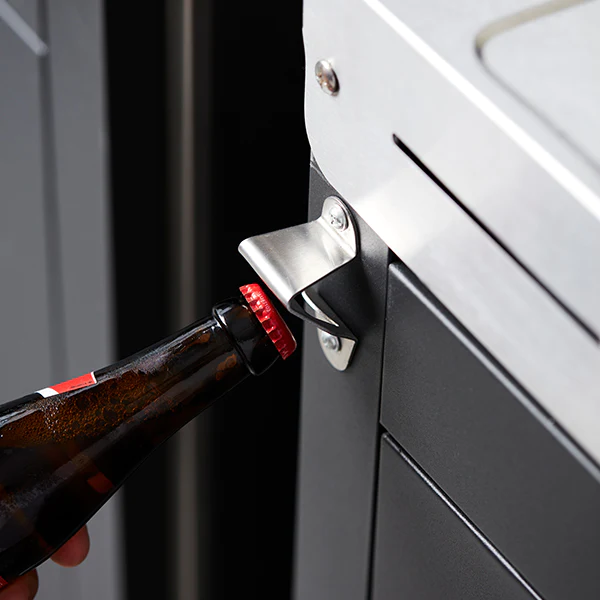 Premium buddy pour barbecue à gaz Barbecook