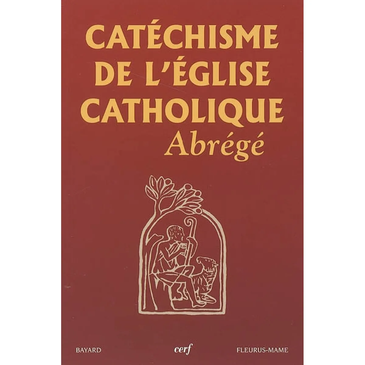 Catéchisme de l'Eglise catholique : abrégé · Occasion