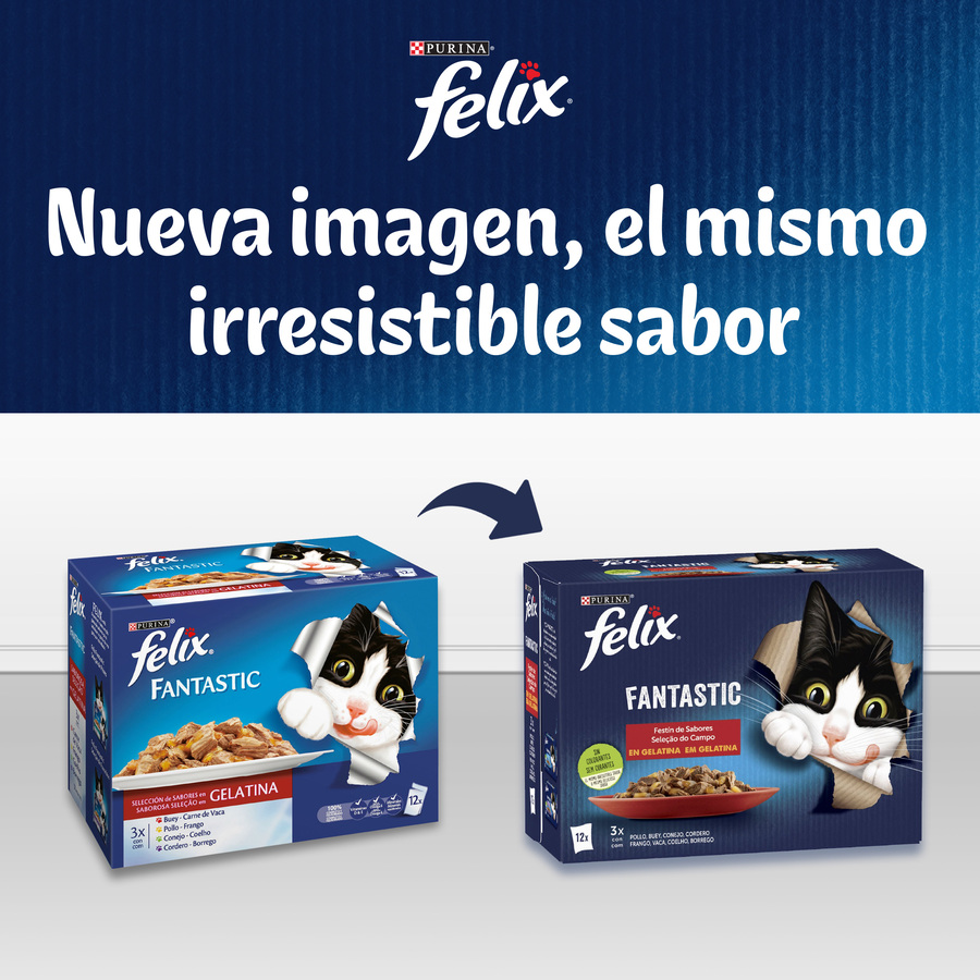 Felix Junior Sachês Fantásticos de Carne e Peixe em Gelatina - Pacote com Vários