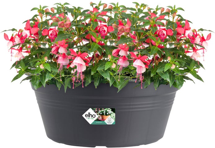 Elho plantenschaal Green Basics zwart D 38 H 15,9 cm