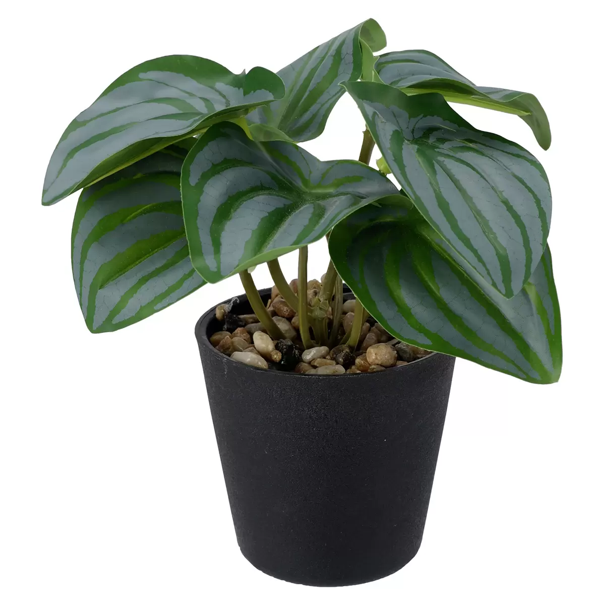 Kunstpflanze im Topf Planty dunkelgrün,schwarz