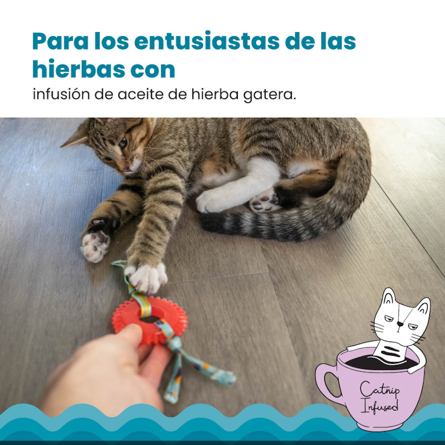 Mordedor para gatos Outward Hound Catstages Kitty Chew com roda vermelha
