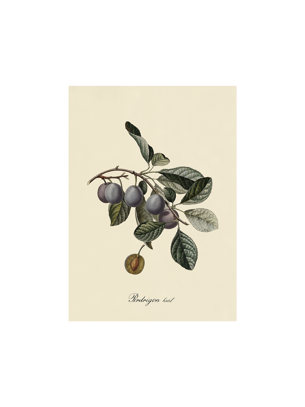 Plakat A3 | Papir. 29,7 x 42 cm.  | Multi | The Dybdahl Co.