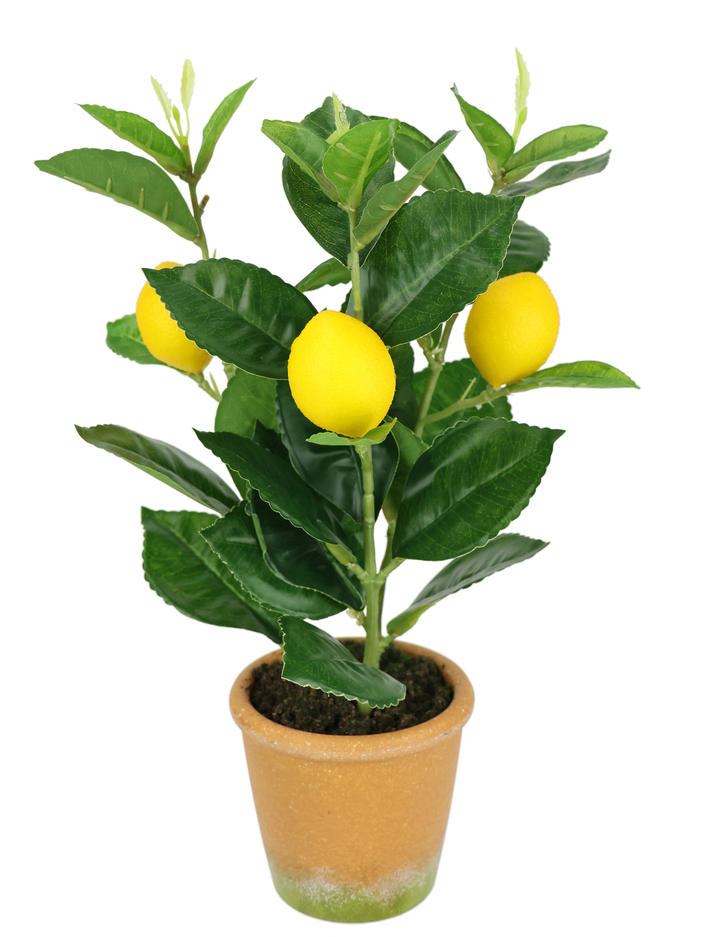 I.GE.A. Kunstpflanze »Künstlicher Mini-Zitronenbaum« Lebensechter Kunstbaum Baum Dekoration Obstbaum Pflanze