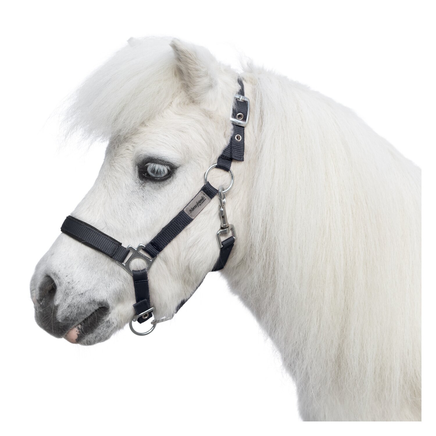 Horse-friends Halfter  - black