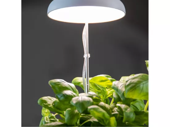 Lampe de croissance pour cultures réglable en inox - Blanc - L 11 x l 11 x H 74,1 cm