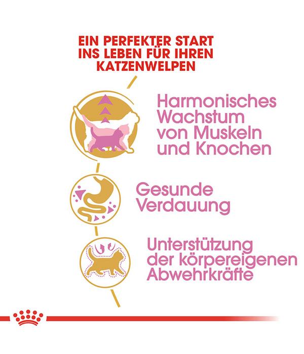 ROYAL CANIN® Trockenfutter für Katzen