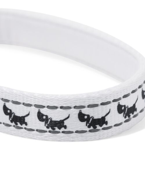 laisse pour chien Takkie 120 cm
